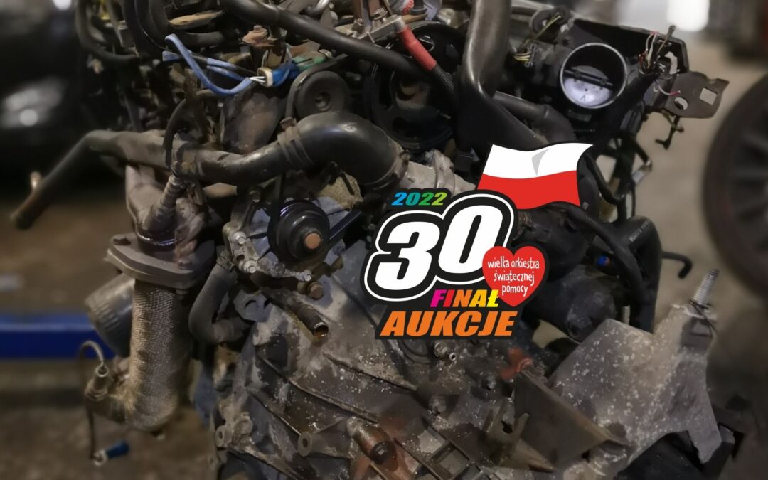 Turbo Żółw dla WOŚP