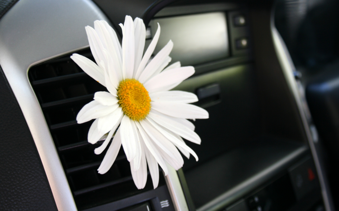 Ozonowanie i odgrzybienie – w pakiecie taniej